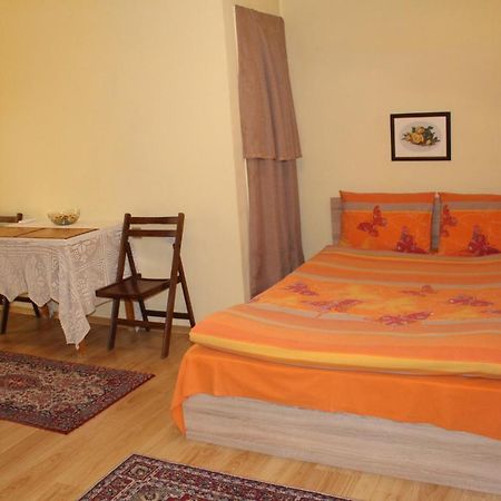 Studio Pleven Center Apartment Luaran gambar