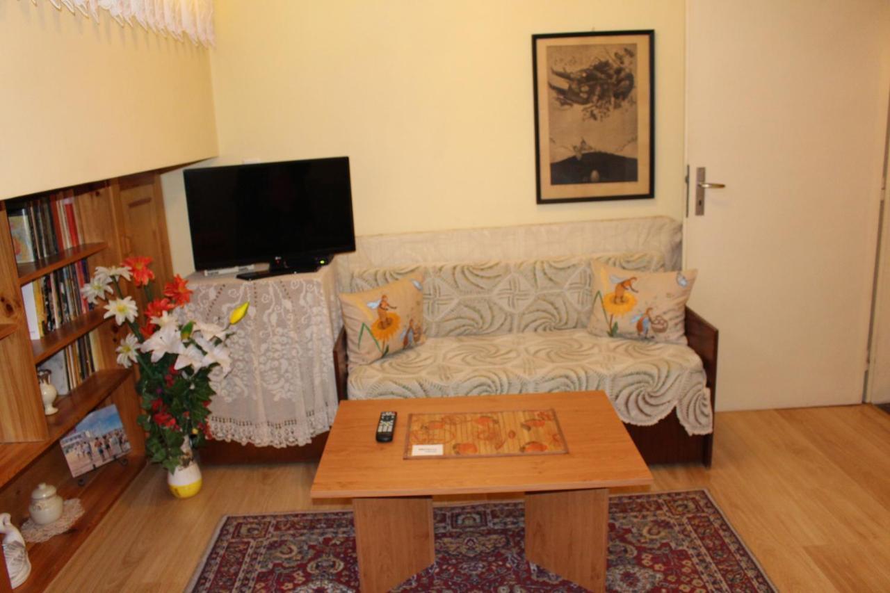 Studio Pleven Center Apartment Luaran gambar