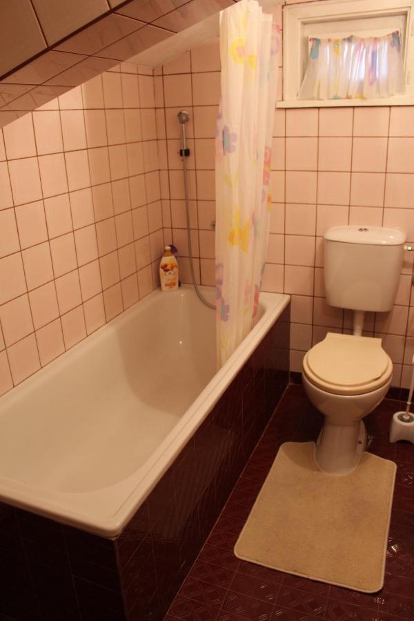Studio Pleven Center Apartment Luaran gambar